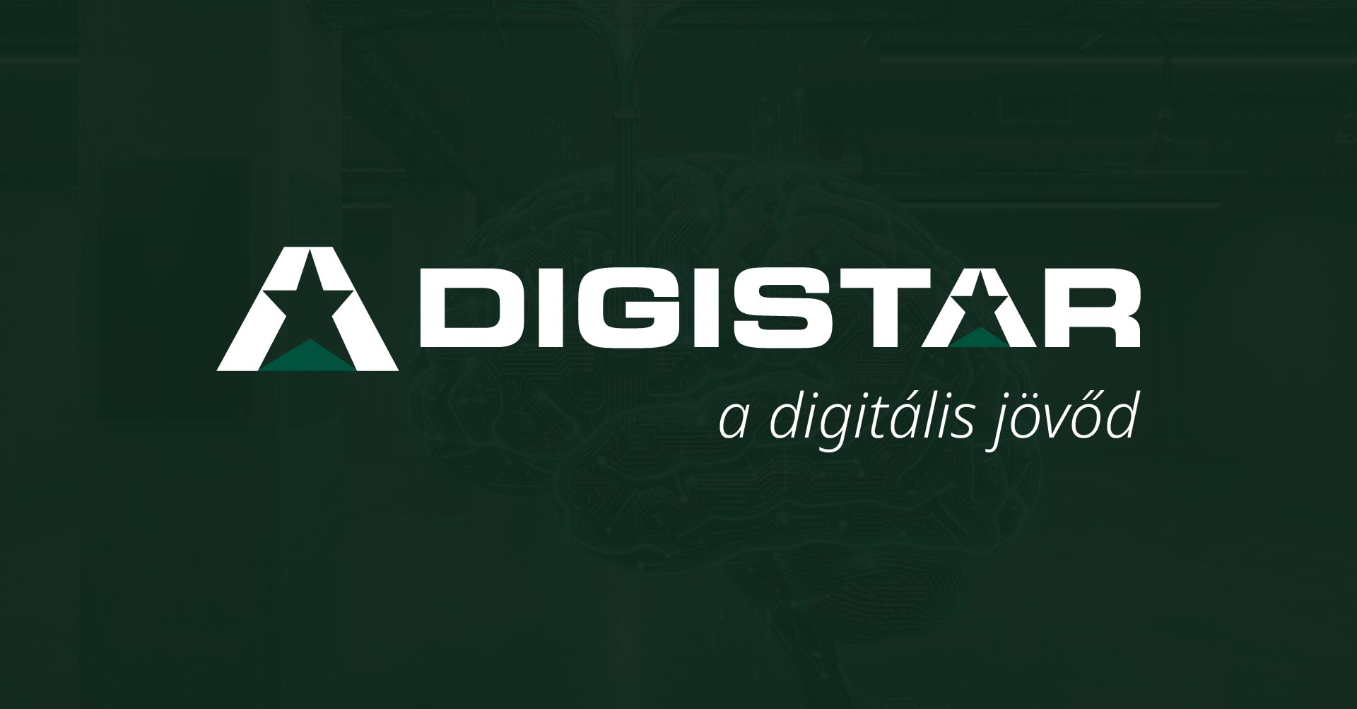 digistar_social__1_91__1